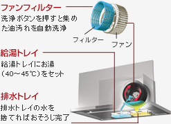 araeru_img02