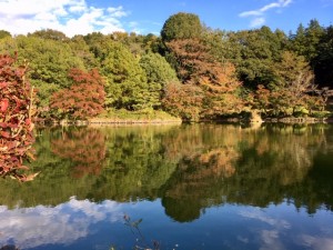 水面の空が美しい