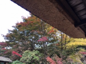 古民家からの紅葉